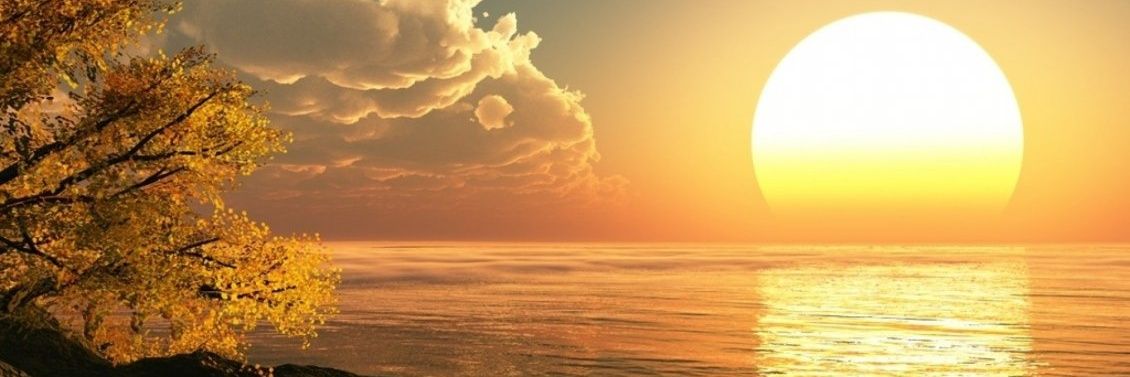 trademetry's profile banner image