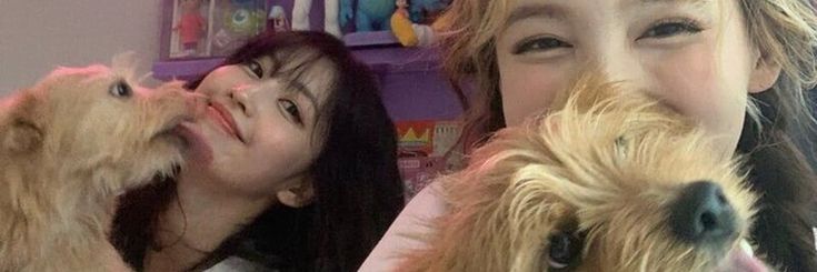 ʕ⁠ shaki ʔ banner