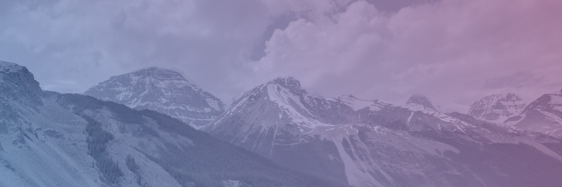 nitroshare's profile banner image