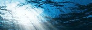 MichelleDunton's profile banner image