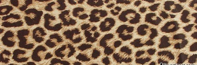 aprilkayko's profile banner image