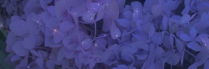 ᗾèêҜỢu͓̽Ŗ banner