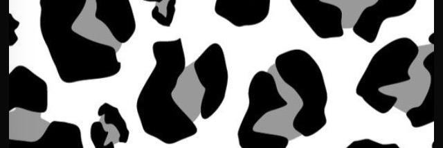 NiicolAshman's profile banner image