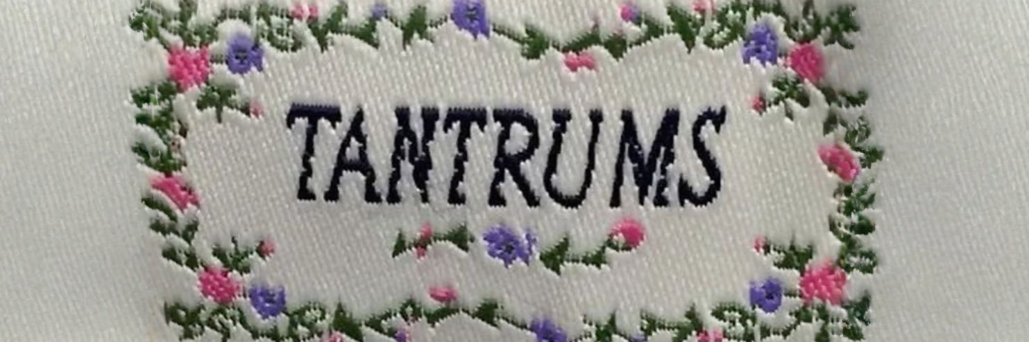 miss ann driss's banner