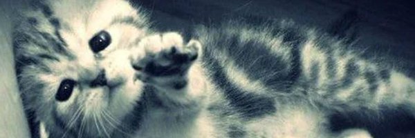 v1rtu4l_4ngel Profile Banner