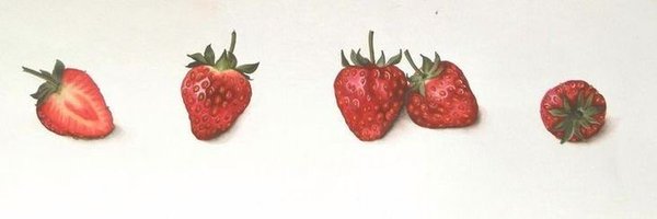 kkabuljimayo Profile Banner