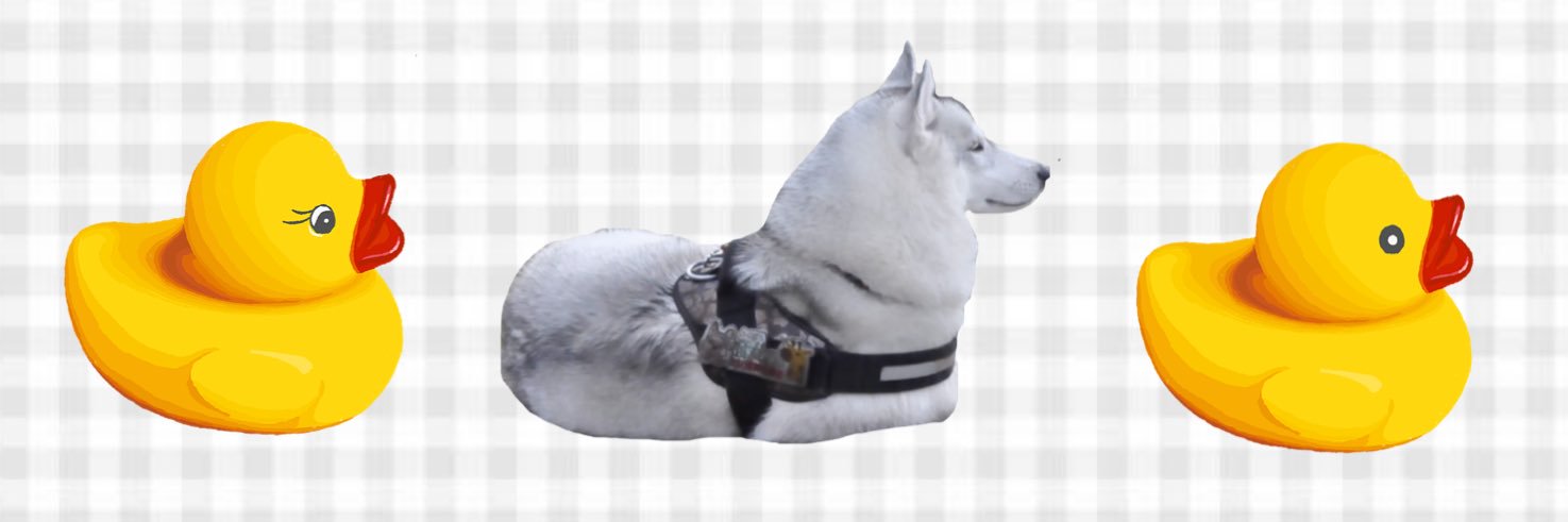 ふくまる＋ぶな＝'s banner