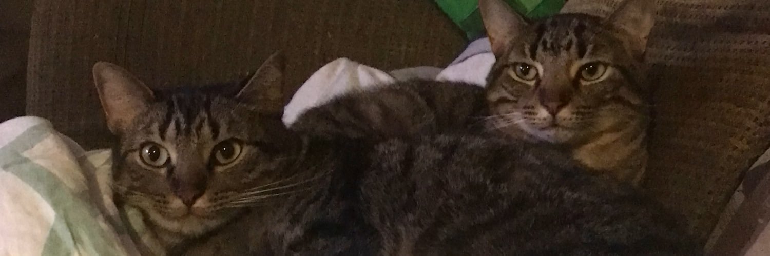 nadiamireless's profile banner image
