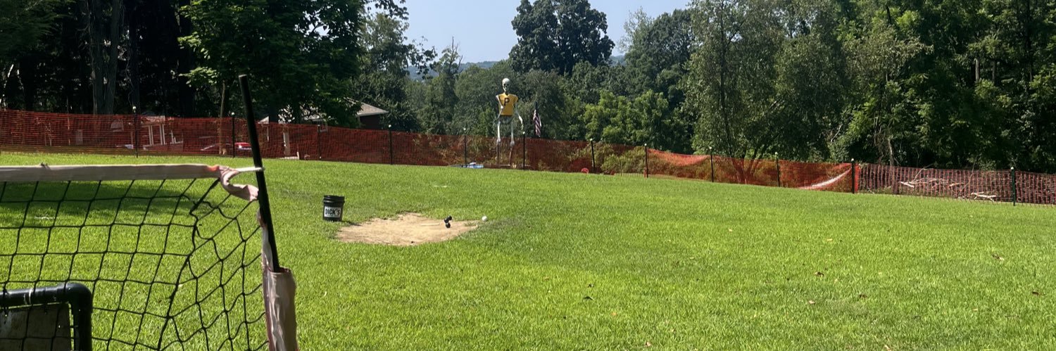 Cunningham Field banner