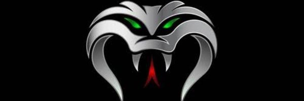 C0BRA3131 Profile Banner