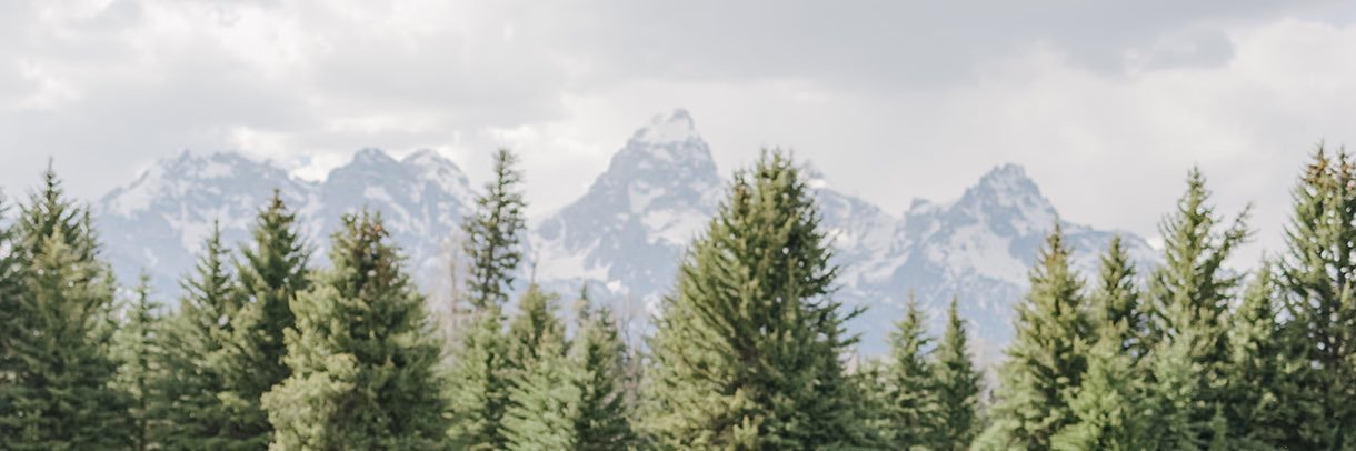 __bowers's profile banner image