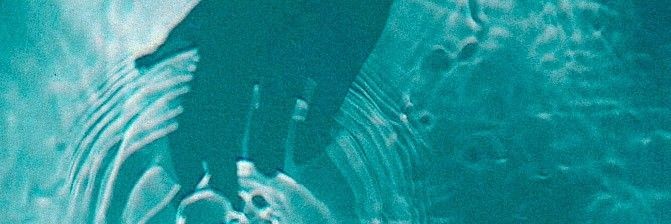 Grogonzola ♡'s banner