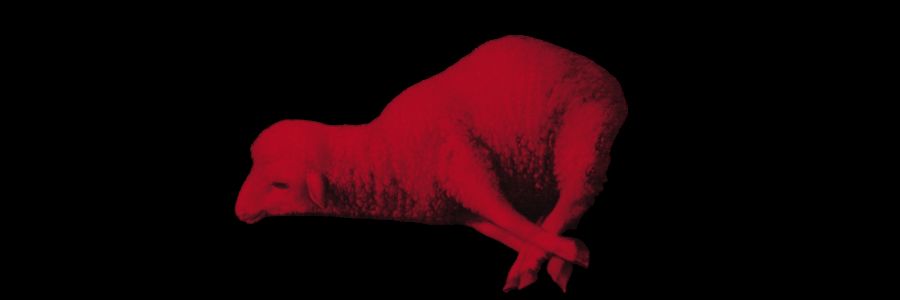 𝐓𝐇𝐄 𝐒𝐎𝐍.'s banner