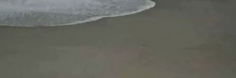 Samia ❤️ banner