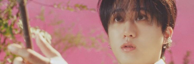 debbinnie🐷| jutdwae utted banner