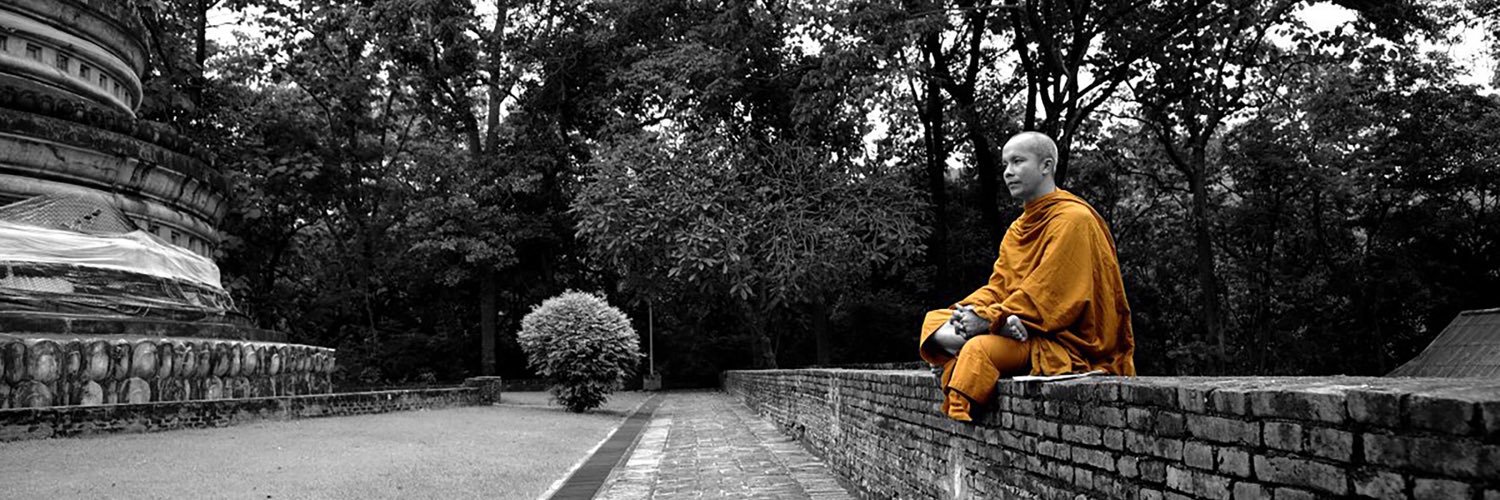 thedharmaguy's profile banner image