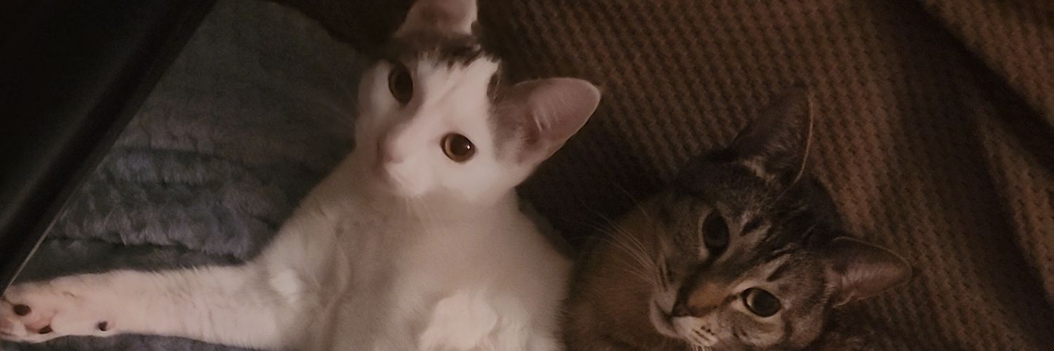 mcthotty24's profile banner image