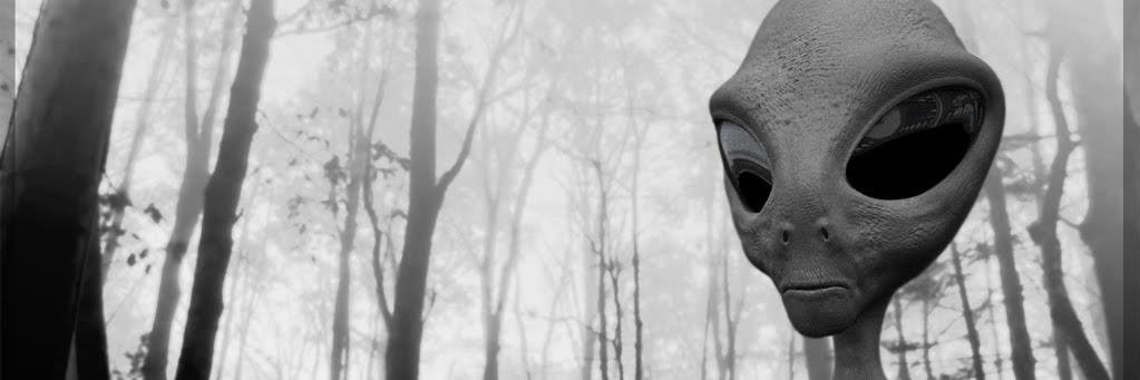 DjRev1968's profile banner image