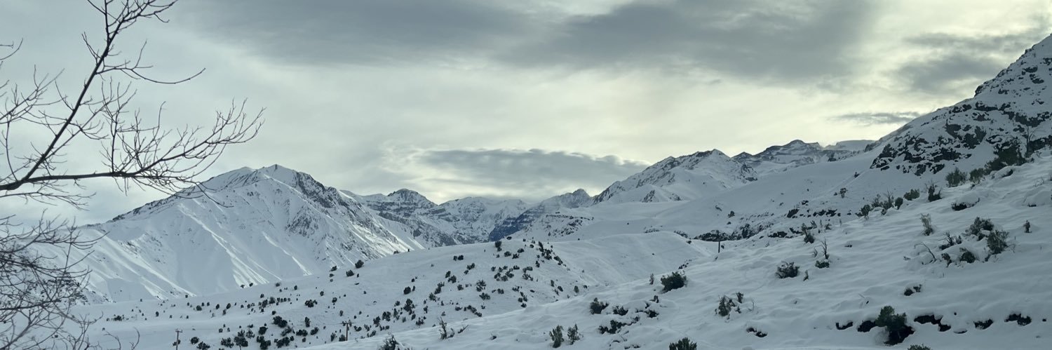 ohcamilis's profile banner image
