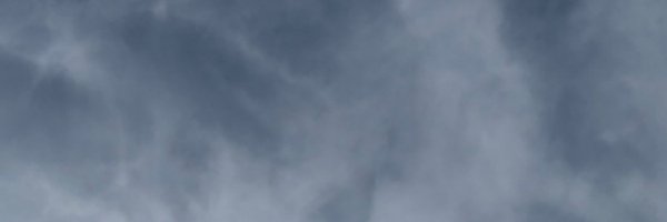 re_re_ii Profile Banner