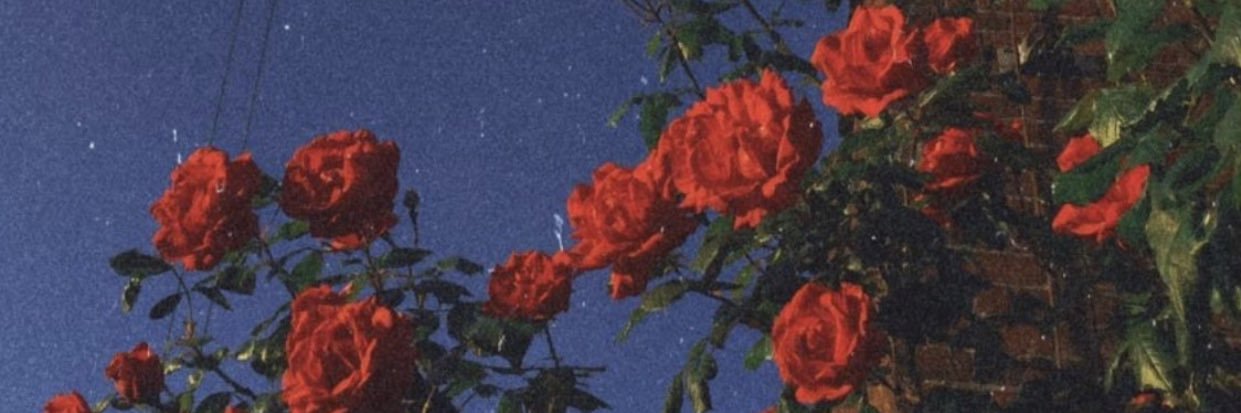MarrGoBrazy's profile banner image