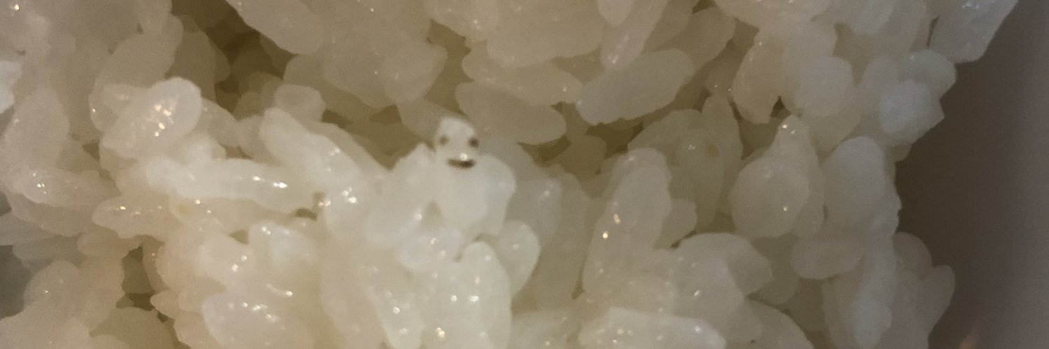 味噌おでんU.S.A.@参政党🍊ゆうこく連合🐉とぅらんちゅ banner