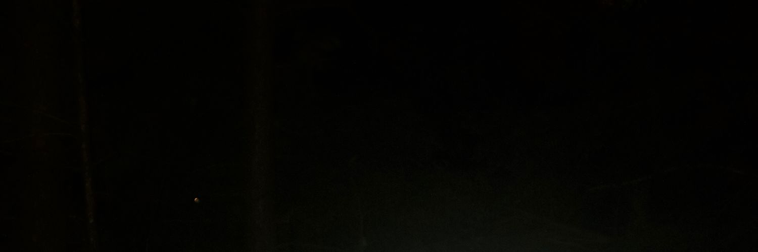 mrowwww banner