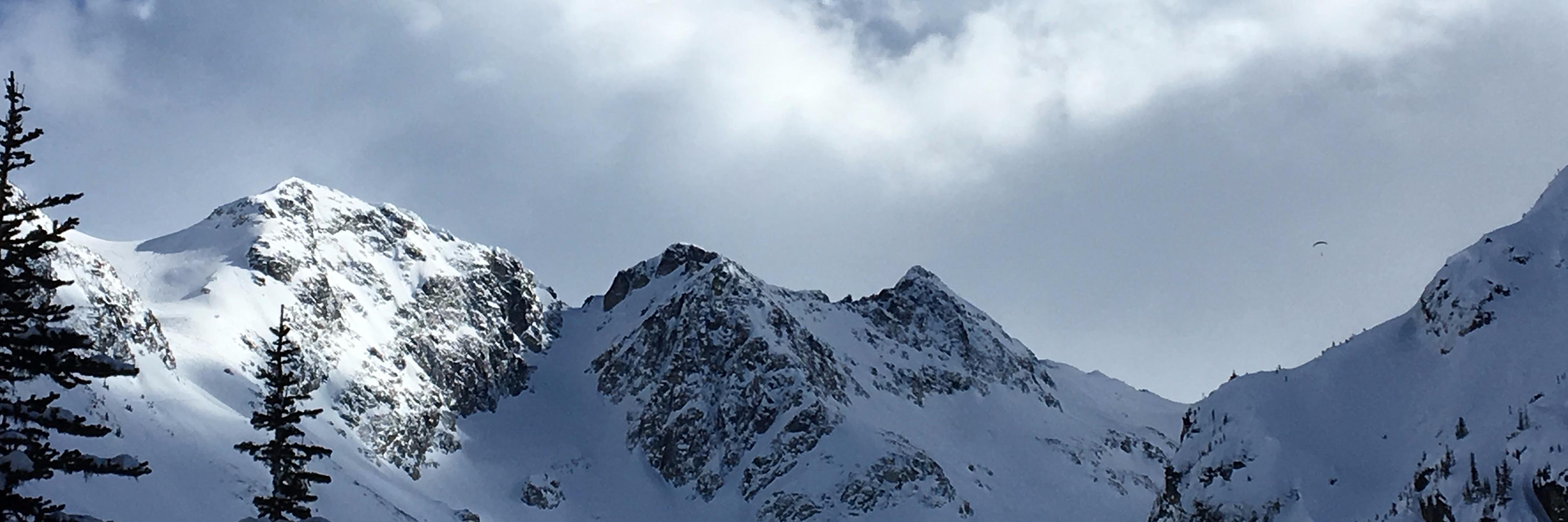 peterbleyer's profile banner image