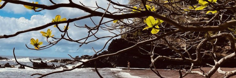 JosephMesiano's profile banner image