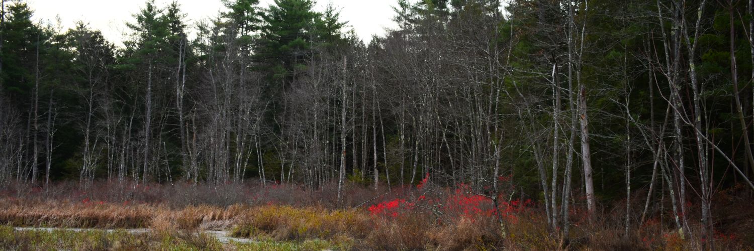 AsbyBill's profile banner image
