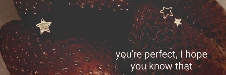 robinellx's profile banner image
