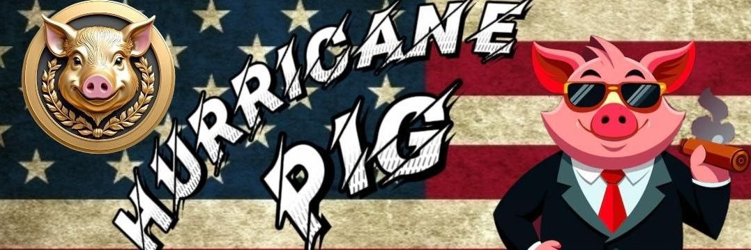 Hurricane_Pig's profile banner image