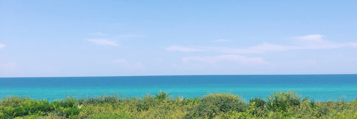 klmcneely5's profile banner image