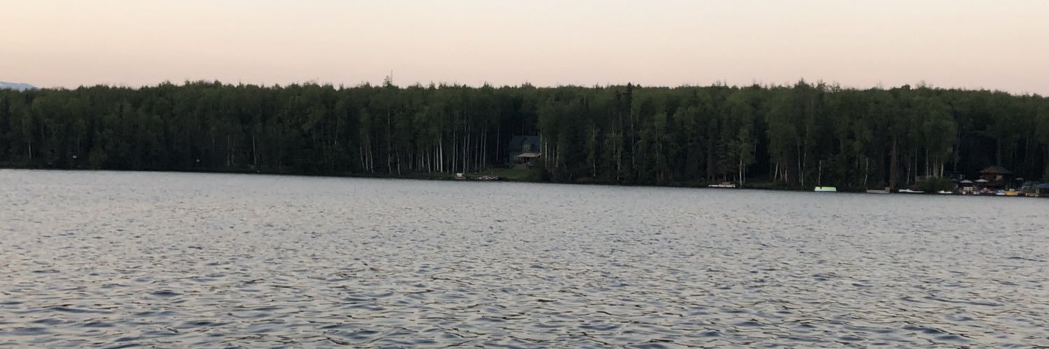 Susan Kulstad banner