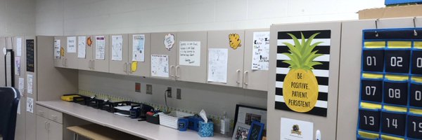 ShannonDescamps Profile Banner