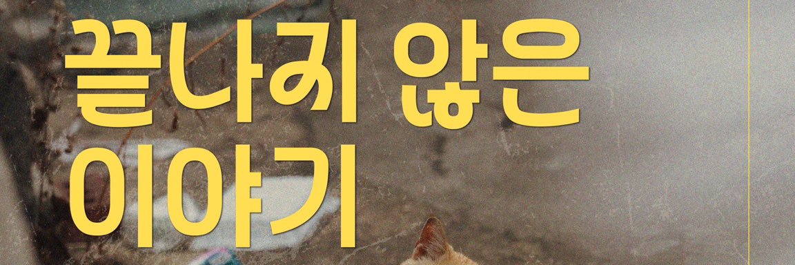 보광동 고양이들's banner