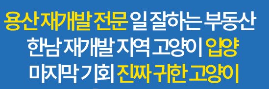 고양이부동산🏠's banner