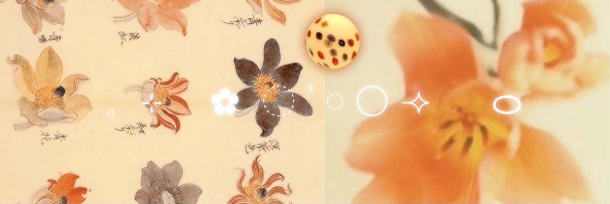 florsnupi's profile banner image