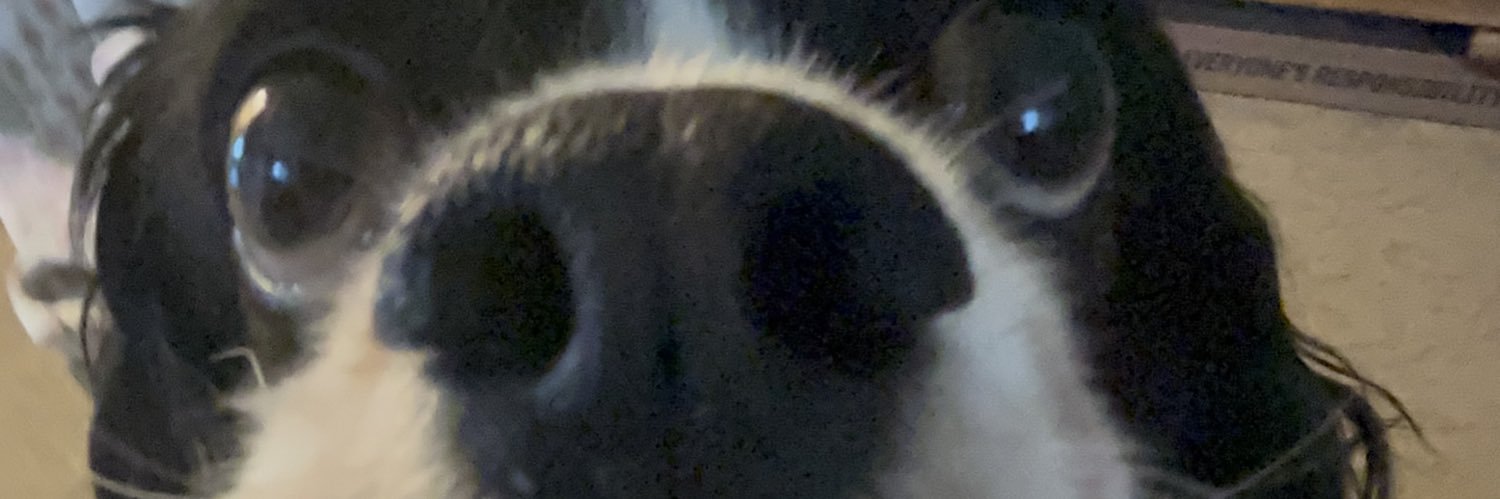 bones banner