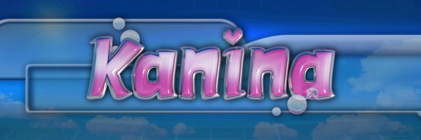 DanSekt banner