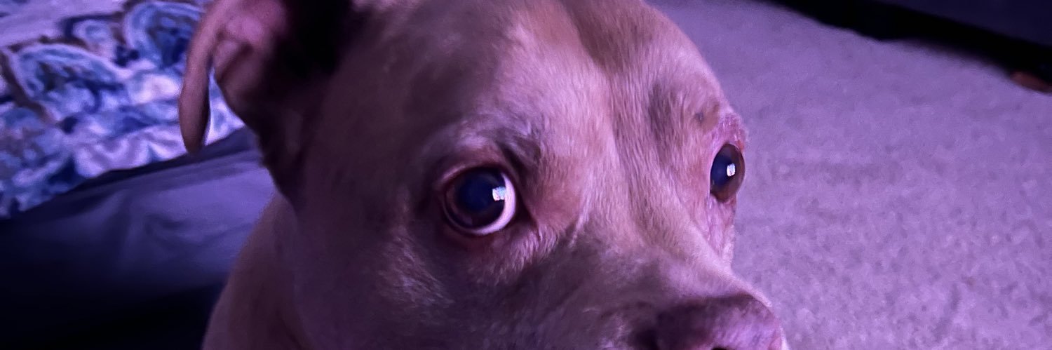 ramirezkevinn's profile banner image