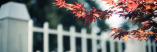 _ericacosta's profile banner image