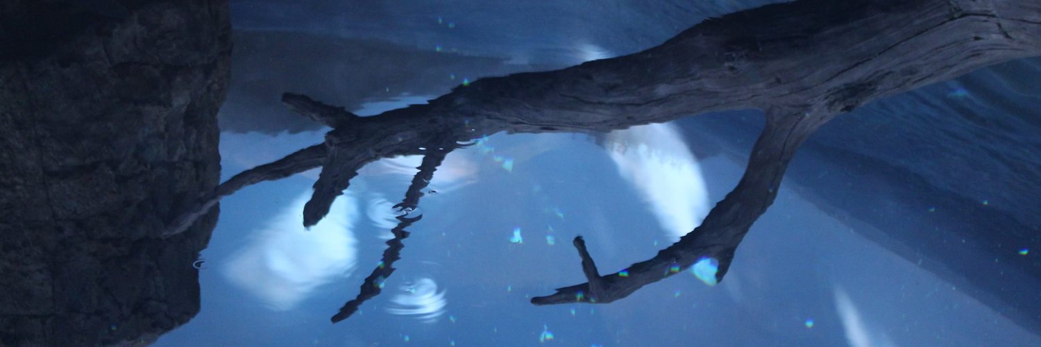 Ângela Ookami 🐺👻 banner