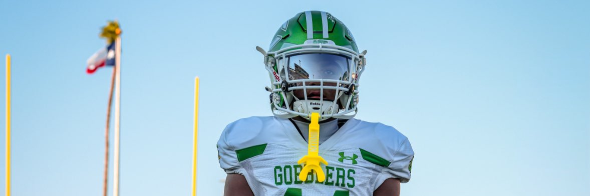 D'ZAYVIN BONNER banner