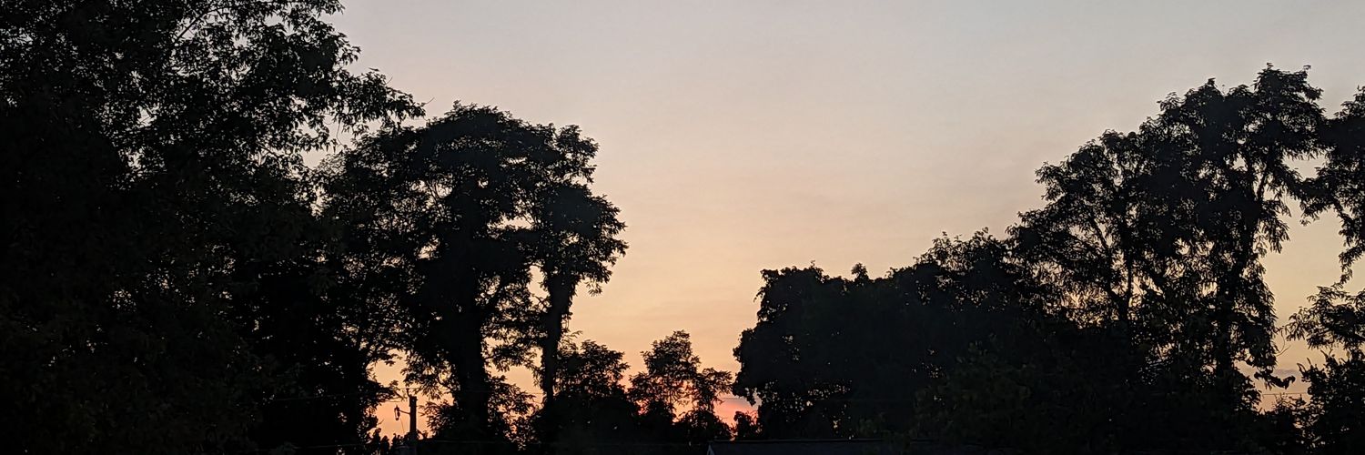 ambervictorm's profile banner image