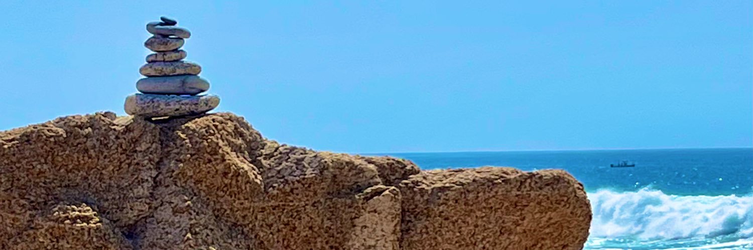 𝒩𝒾𝒸𝑜𝓁𝑒 𝒮𝒸𝒽𝑜𝓂𝓅 banner