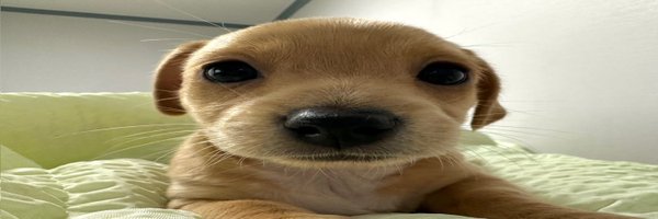 totheloveileft Profile Banner