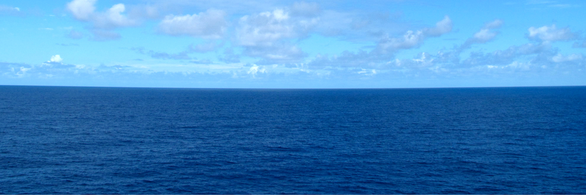 claragree's profile banner image