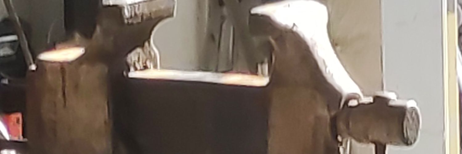 Pizziccorru's profile banner image