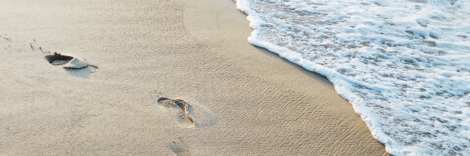 reefsafeaus's profile banner image
